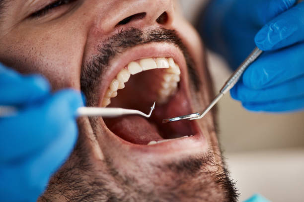 Best Emergency Orthodontic Repairs in Mount Hermon, VA