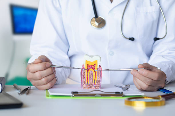 Best After-Hours Emergency Dentist in Mount Hermon, VA
